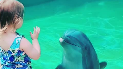 This little girl formed an adorable connection with a friendly dolphin 😮 🥰
