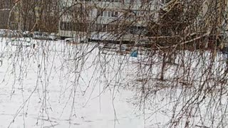 11/13/2019 Winter came to Sosnovoborsk, Krasnoyarsk Territory!))