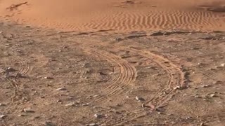 Guy on hill jumps over fence lands on dirt