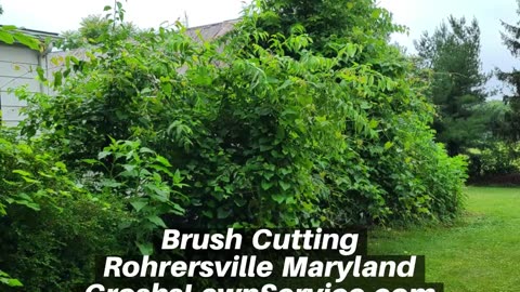 Brush Cutting Rohrersville Maryland Landscape Contractor
