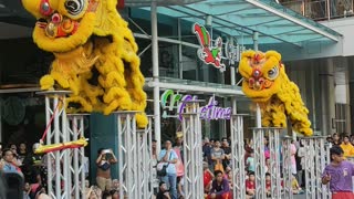 Stilt Dancers Wearing Dragon Costumes Celebrate the Coming of the Dry Season in Malaysia