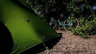 St. Patrick’s Day Camping Safety Tips