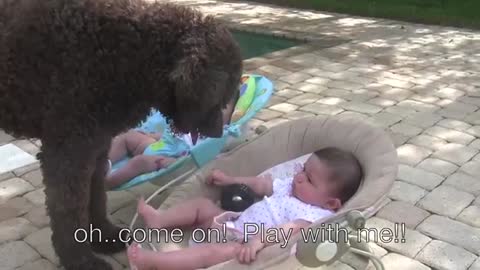Big Dog Walks Up To Twin Babies. His “Request” Made Mom Run For The Camera