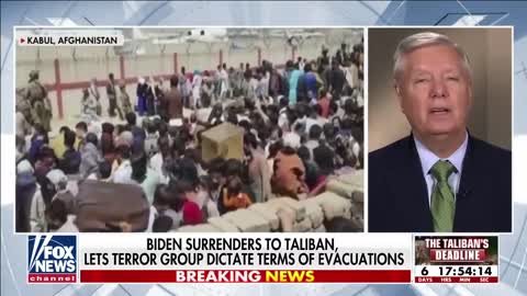 Lindsey Graham blasts Biden over Afghanistan, rips VP over tone-deaf messaging