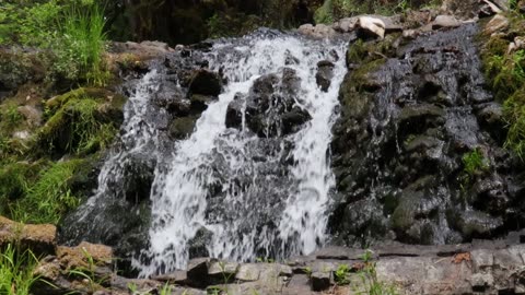 Mayo Creek Waterfall