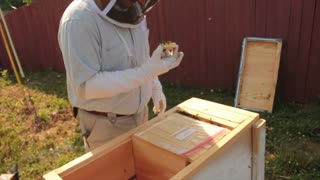 Newly Installed Beehive Inspection: What Did We Find?