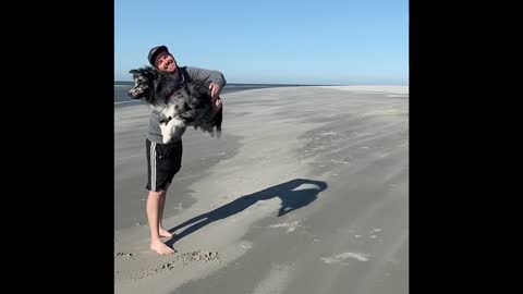 Australian Shepherd Incredibly Jumps Through Owner's Arms