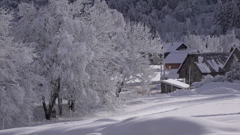 Most Dangerous Snow Storm 2022 - Snow blizzard hits parts of Canada