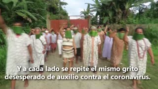 Un grito de auxilio en la Amazonía