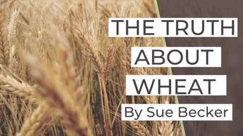 The Truth About Wheat by Sue Becker | Bread Beckers | Wheat Belly Myths