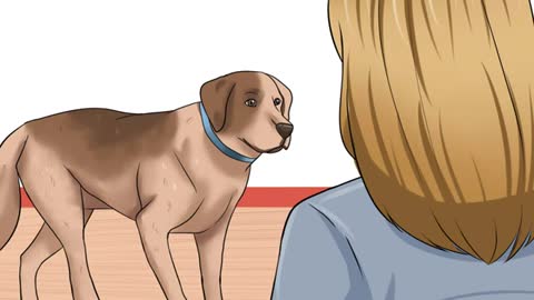 How much you know about your dog? you will know more if you learn it