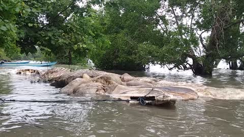 Evacuation of Mysterious Fish In Hulung , Desa Iha (Different Angle)