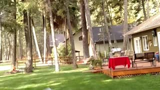 Man in grey trampoline breaks through