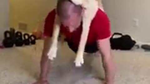 How do you workout with your pet