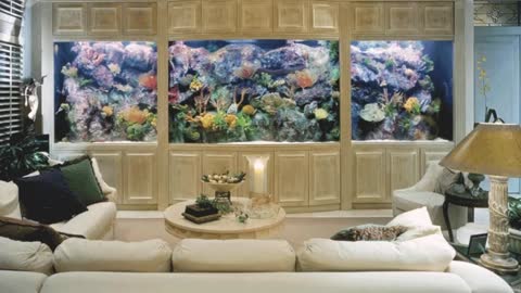 Aquarium interior Room. Original Design Ideas For The Most Beautiful Rooms