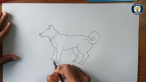 Dog Draw - How to Draw a Dog Easy Step by Step - Animals Drawings for Beginners - Drawing Solution