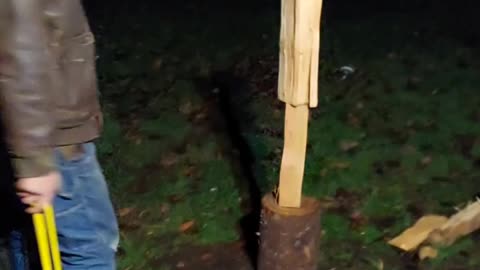 Wood Splitting Skills