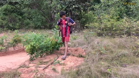 Awesome Quick Bird Trap Using Bamboo Palm Wine & Net That Work 100%