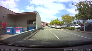 Bird Uses Crosswalk