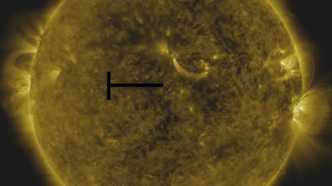 Journey Through Time: Two Weeks in the Life of a Sunspot ☀️