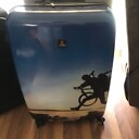 Luggagemiss