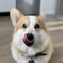 loydkingcorg