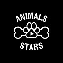 AnimalsStars