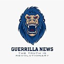 GuerrillaNews