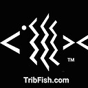 TribFish