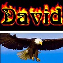 DavidEagle