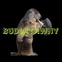 Budsatawny