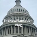 thenewplantation