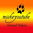 mickeysutube