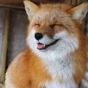 MoneyFox