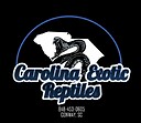 CarolinaExoticReptiles