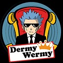 DermyWermy080