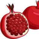 PomegranateFruit