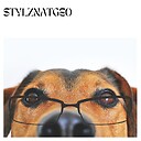 StylzNatGeo