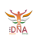 thedna91