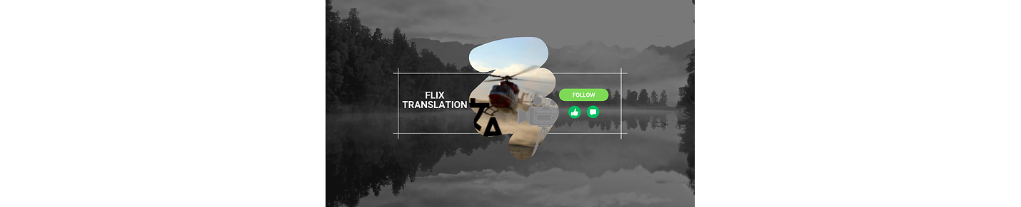 FlixTranslation