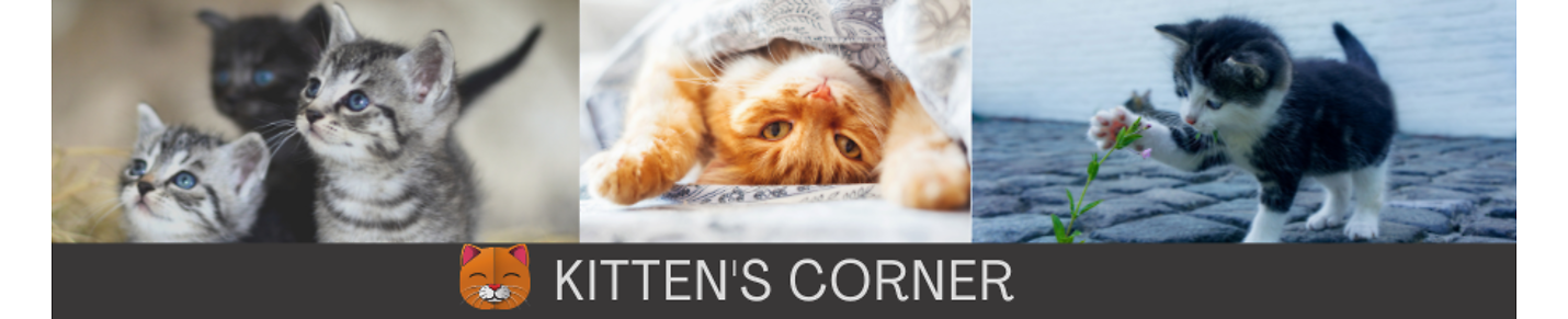 Kittens Corner