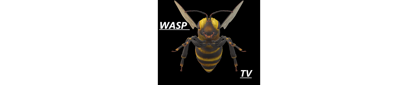 Wasp TV