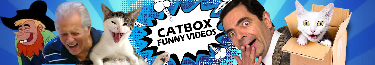 CATBOX Funny Videos