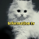 Information tv