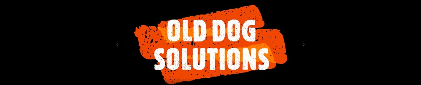 OLD DOG SOLUTIONS