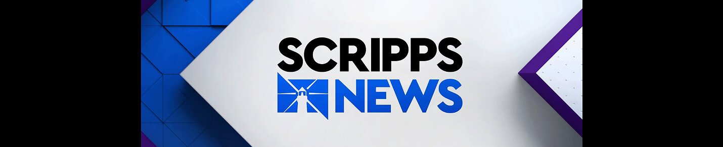 Profile Banner of Newsy