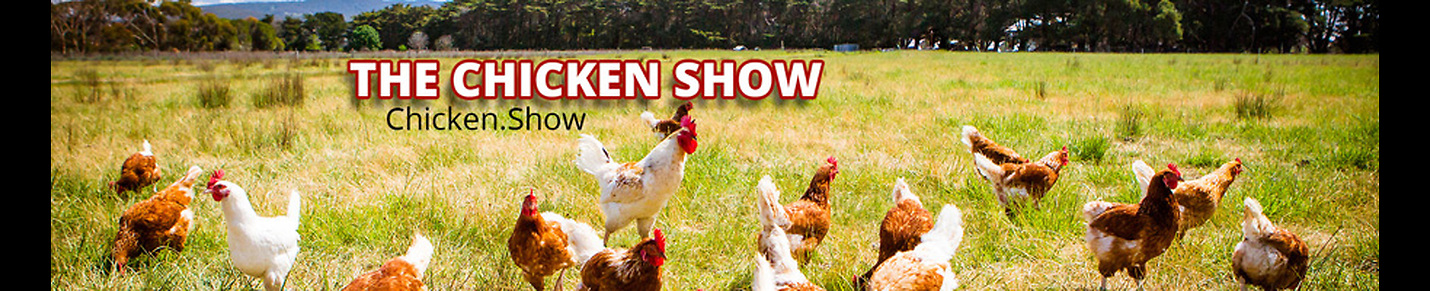 Chicken.Show