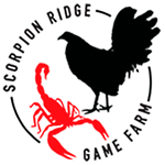 Quality Gamefowl Broodfowl located in Cleveland GA