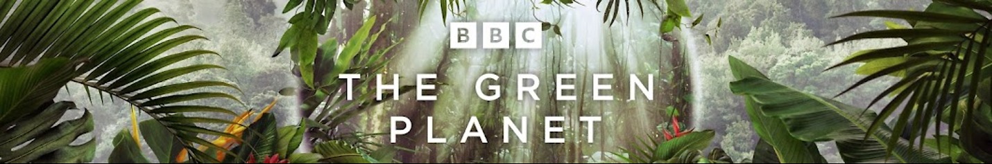 BBC Earth