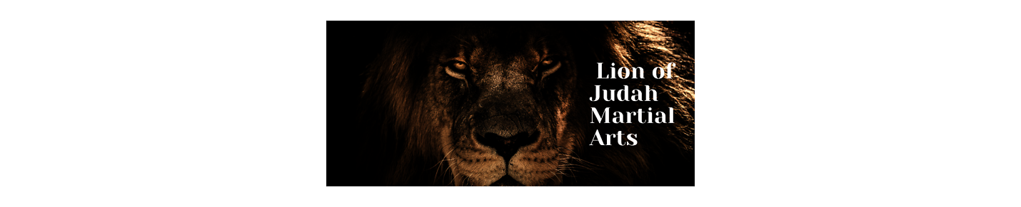 Lion of Judah Martial Arts